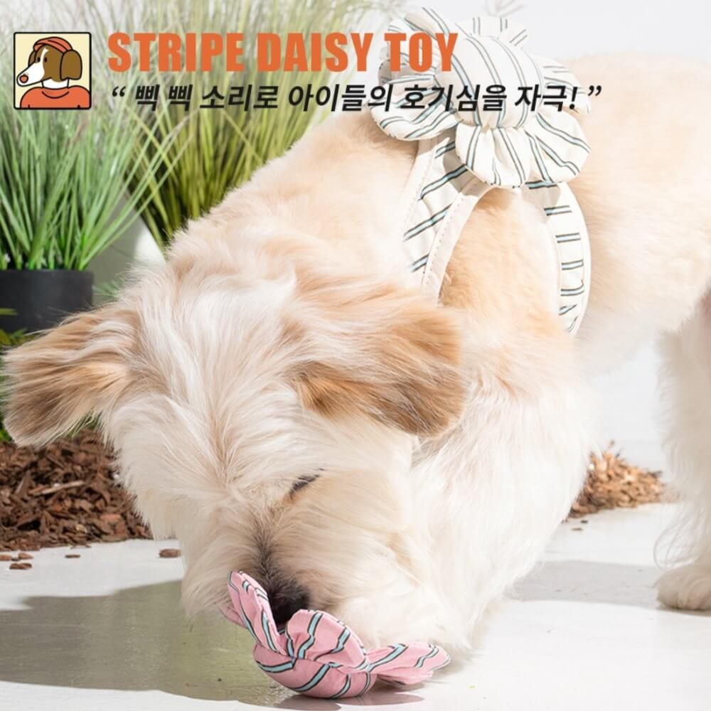ของเล่นสัตว์เลี้ยง PUPPY GALLERY Stripe Daisy Toy สีครีม (มีเสียงเมื่อบีบ)