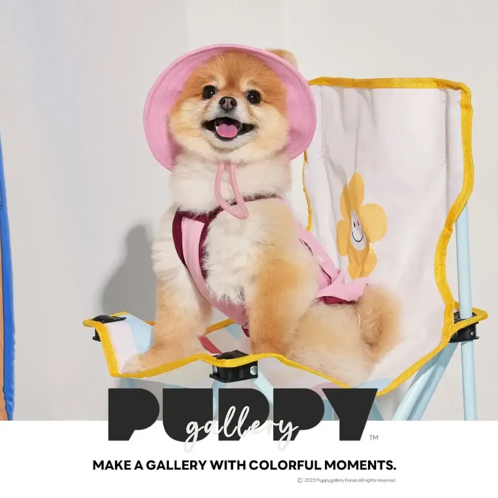 หมวกสัตว์เลี้ยง PUPPY GALLERY ไซซ์ M สีชมพู มาพร้อม Cooling Pads