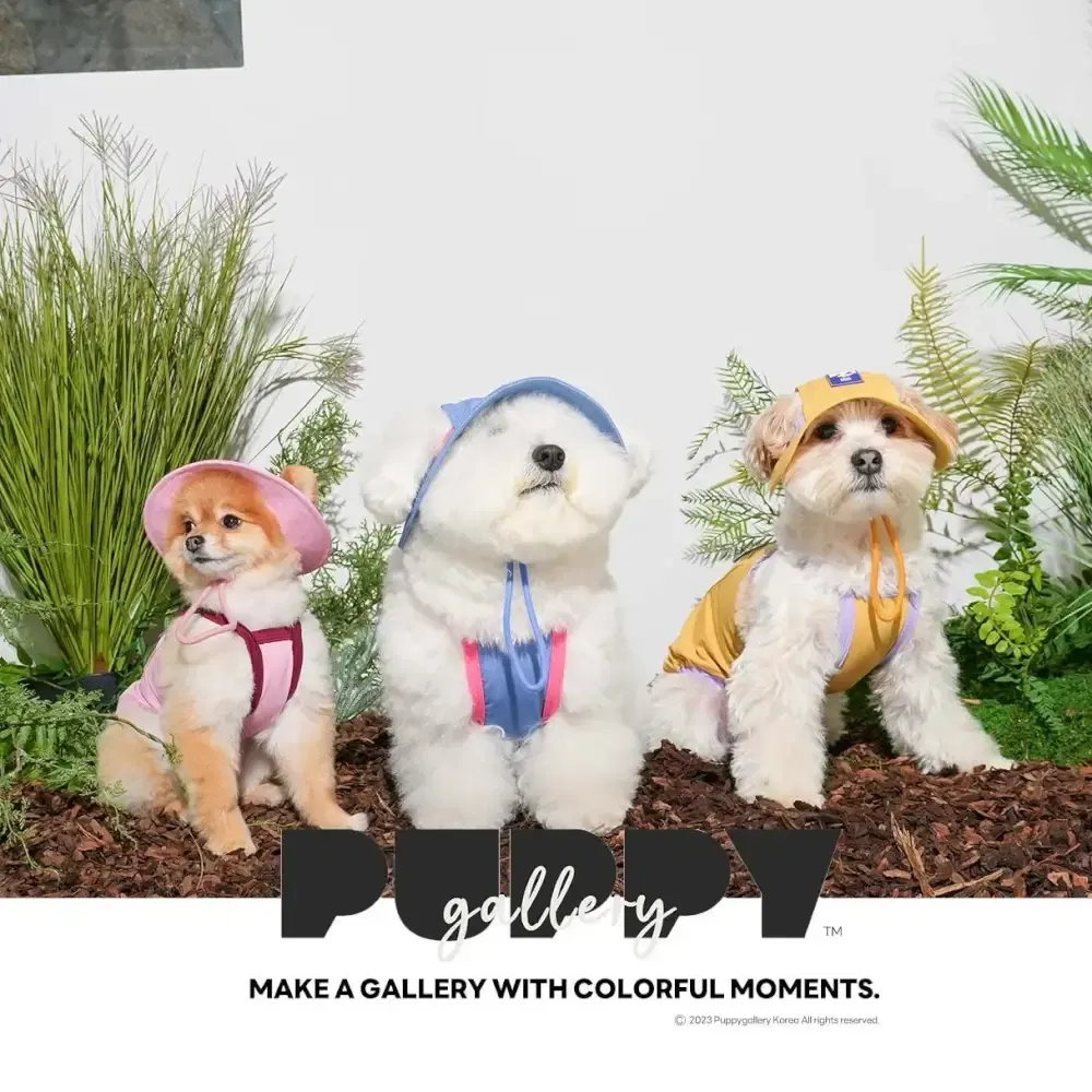 หมวกสัตว์เลี้ยง PUPPY GALLERY ไซซ์ XL สีฟ้า มาพร้อม Cooling Pads