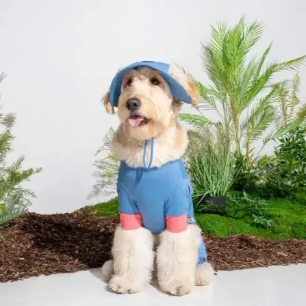 หมวกสัตว์เลี้ยง PUPPY GALLERY ไซซ์ XL สีฟ้า มาพร้อม Cooling Pads_4