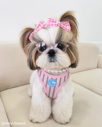 ของเล่นสัตว์เลี้ยง PUPPY GALLERY Stripe Daisy Toy สีชมพู (มีเสียงเมื่อบีบ)_5