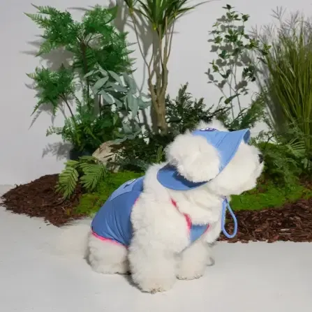 หมวกสัตว์เลี้ยง PUPPY GALLERY ไซซ์ XL สีฟ้า มาพร้อม Cooling Pads_6