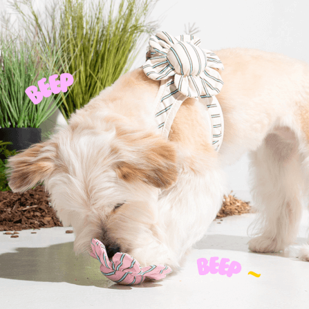 ของเล่นสัตว์เลี้ยง PUPPY GALLERY Stripe Daisy Toy สีครีม (มีเสียงเมื่อบีบ)_7