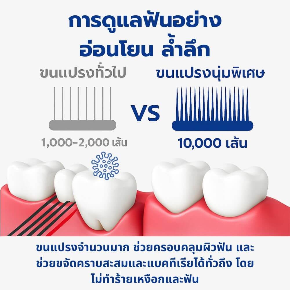 แปรงสีฟันหัวใหญ่สำหรับสัตว์เลี้ยง ARM AND HAMMER ขนแปรงนุ่ม (SIZE M)_2