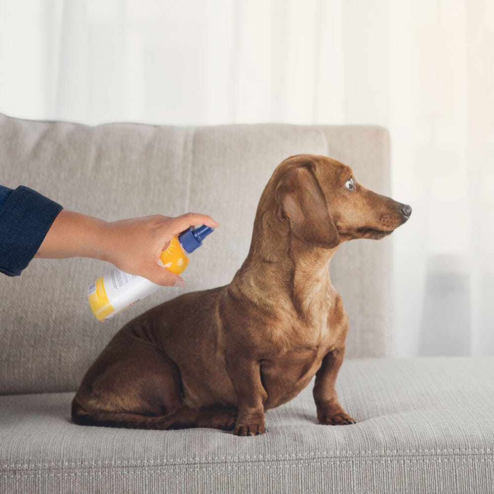 สเปรย์กำจัดกลิ่นสุนัข ARM AND HAMMER ITCH RELIEF สูตรคาโมมายล์และเปปเปอร์มินต์ บรรเทาอาการคัน 236 ML