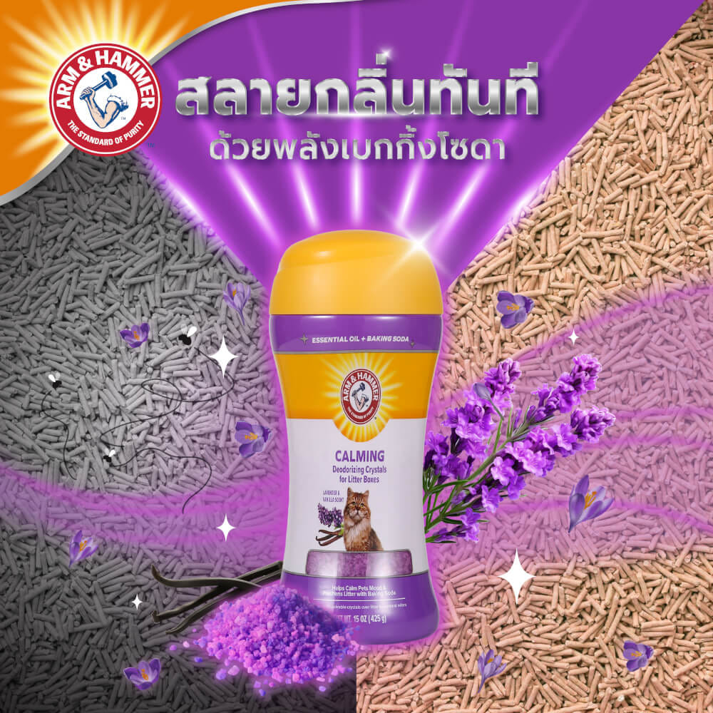 เม็ดคริสตัลดับกลิ่นทรายแมว ARM AND HAMMER คละสูตร 2 ขวด 425 G
