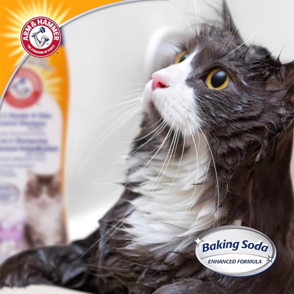 แชมพูสำหรับแมว ARM AND HAMMER 2-IN-1 DANDER & ODOR CONTROL สูตรป้องกันเชื้อราและรังแค ขนาด 591 มล._5