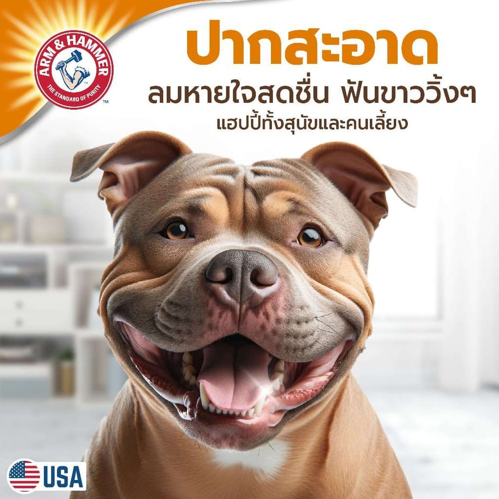 ชุดยาสีฟันสำหรับสุนัข ARM AND HAMMER FB สูตรลดกลิ่นปาก รสไก่มินต์ 2.5 OZ_6