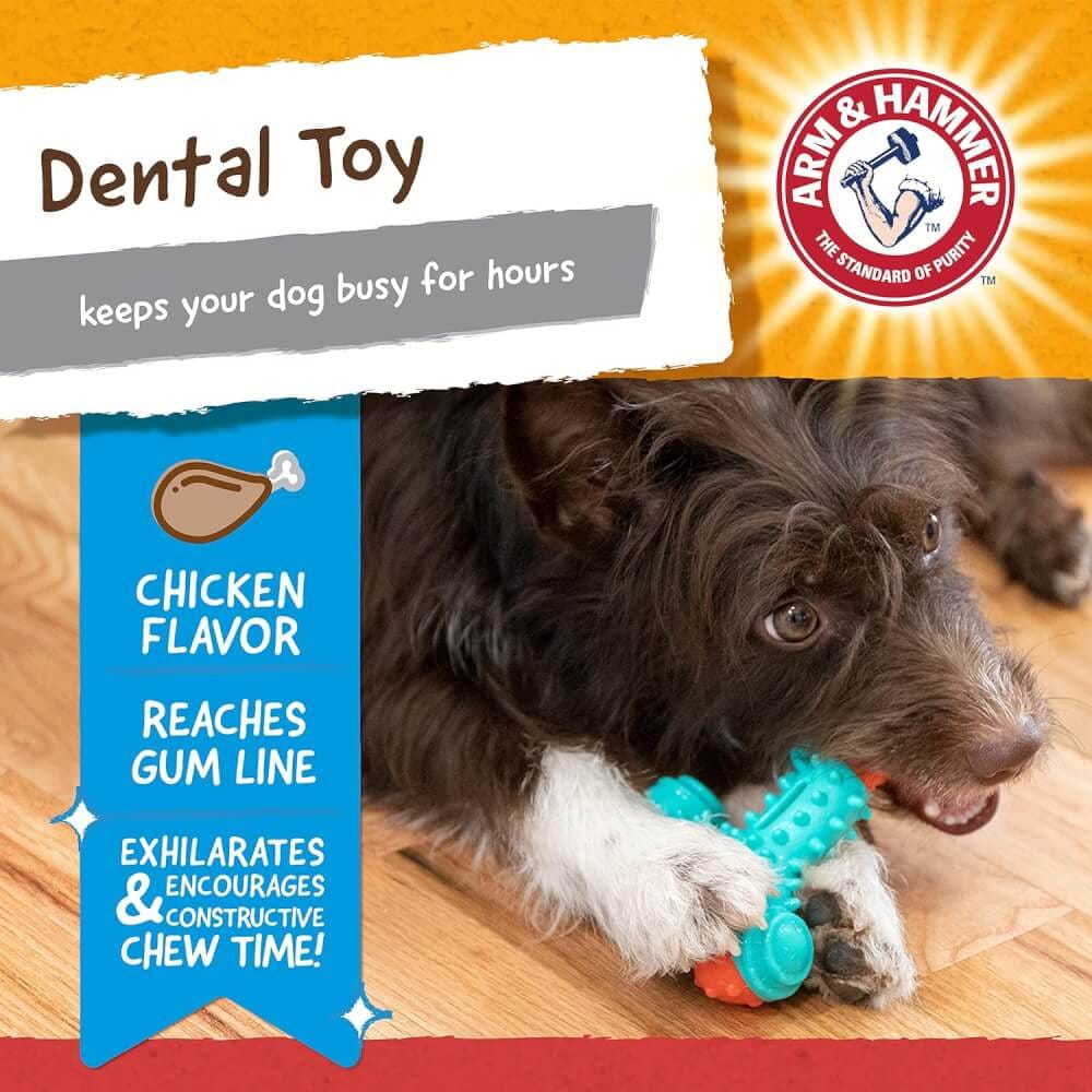 ของเล่นสุนัข ARM AND HAMMER NUBBIES WISH BONE รสไก่เข้มข้น ขนาด 10X12ซม.