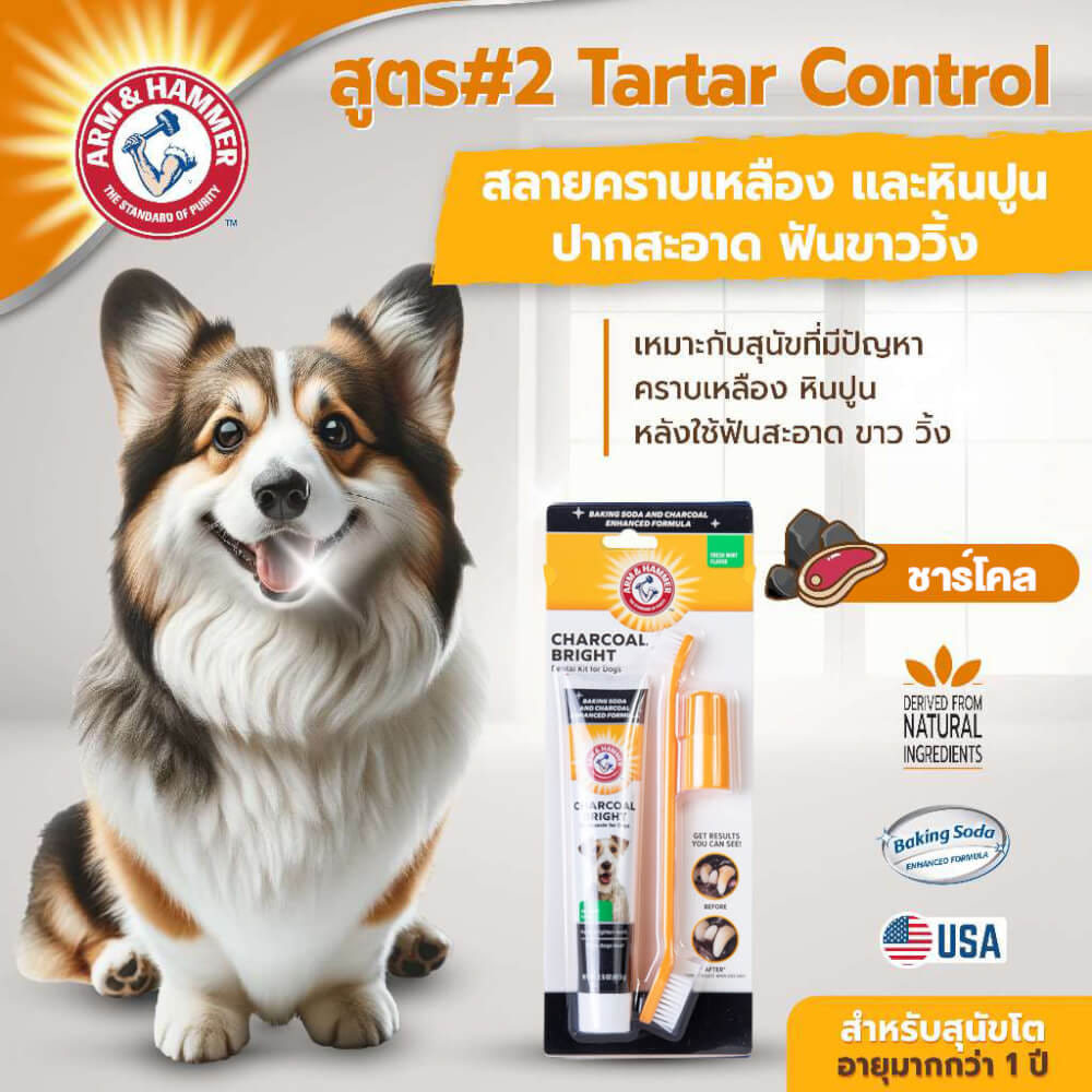 ชุดยาสีฟันสำหรับสุนัข ARM AND HAMMER FB รสมินต์ชาร์โคล ขนาด 67.5 กรัม