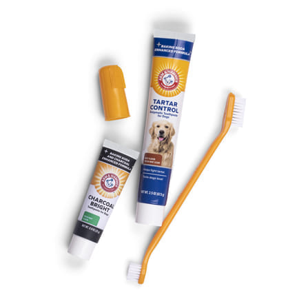 ชุดยาสีฟันสำหรับสุนัข ARM AND HAMMER TTC รสเนื้อ + รสชาร์โคล 67.5 G_1