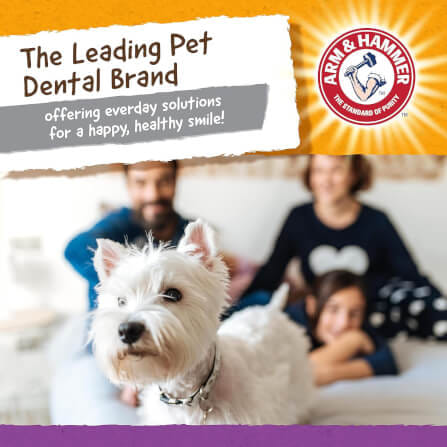 ของเล่นสุนัข ARM AND HAMMER NUBBIES DUO BONE ช่วยขัดฟัน รสไก่ ขนาด 5X14 ซม._5
