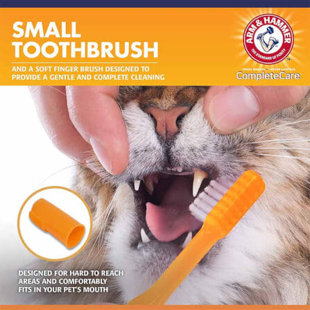 ชุดยาสีฟันสำหรับแมว ARM AND HAMMER CPC รสทูน่า ขนาด 67.5 G_5