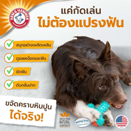 ของเล่นสุนัข ARM AND HAMMER NUBBIES DUO BONE ช่วยขัดฟัน รสไก่ ขนาด 5X14 ซม._7