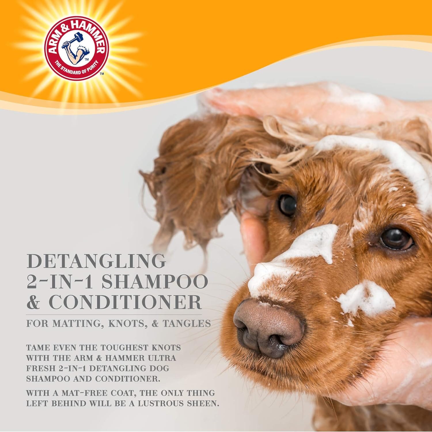 แชมพูสำหรับสุนัข ARM AND HAMMER ULTRA FRESH 2 IN 1 DETANGLING สูตรผสมครีมนวด กลิ่นพริคลีย์ & แพร์ 473 มล._4