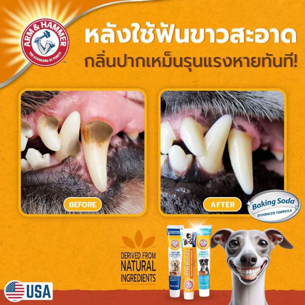 ยาสีฟันสำหรับสุนัข Arm and Hammer FB รสพีนัทบัตเตอร์ จัมโบ้ไซส์ ขนาด 175.8 กรัม (ไม่มีแปรง)_4