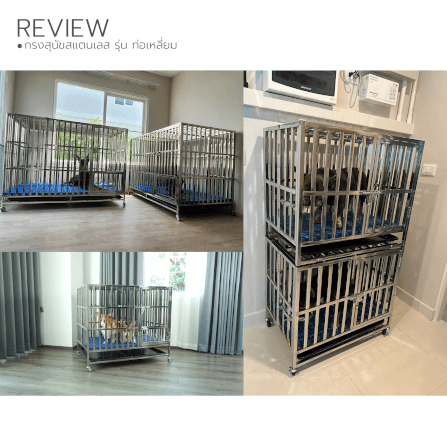 กรงสุนัขสแตนเลส 202 Pawradise รุ่นท่อเหลี่ยม(พับได้) Size XL Plus ขนาด : 125 x 94 x 106 cm._4