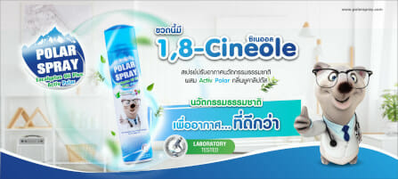 สเปรย์ปรับอากาศโพลาร์ สเปรย์ กลิ่นยูคาลิปตัส ขนาด 280 มล. _12