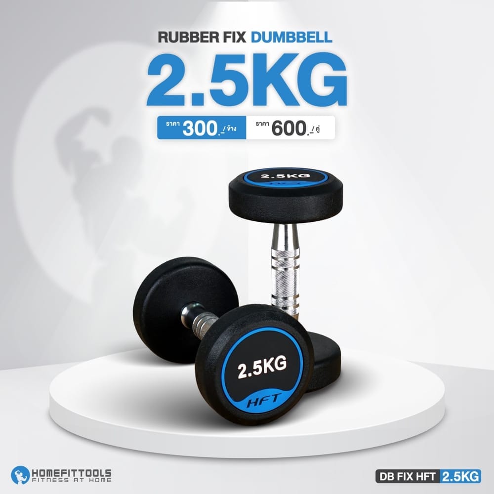 ดัมเบลกลม HOMEFITTOOLS 2.5 KG 1 คู่