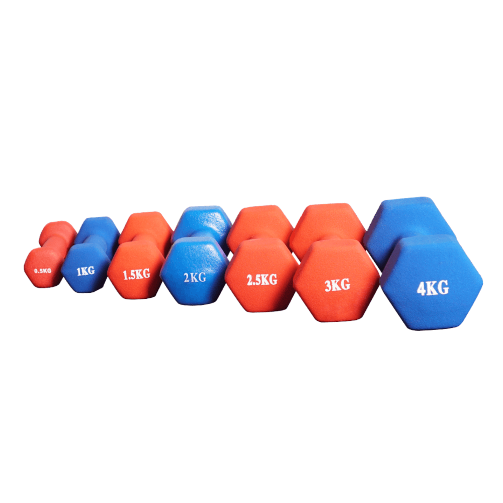 ดัมเบลผู้หญิง HOMEFITTOOLS ขนาด 3 KG 1 ชิ้น คละสี_1