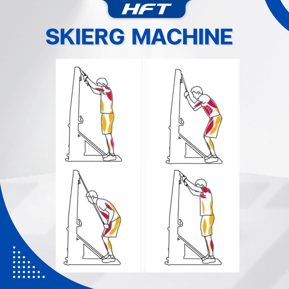 เครื่องเล่นสกีในร่ม HOMEFITTOOLS SKIERG TRAINER