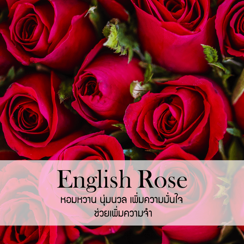 ก้านไม้หอมปรับอากาศ PHRUKSA SPA รีฟิล ขนาด 30 มล.  กลิ่น ENGLISH ROSE