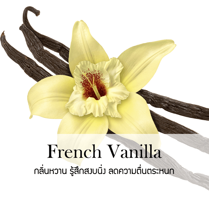 ก้านไม้หอมปรับอากาศ PHRUKSA SPA รีฟิล ขนาด 100 มล.  กลิ่น FRENCH VANILLA_1