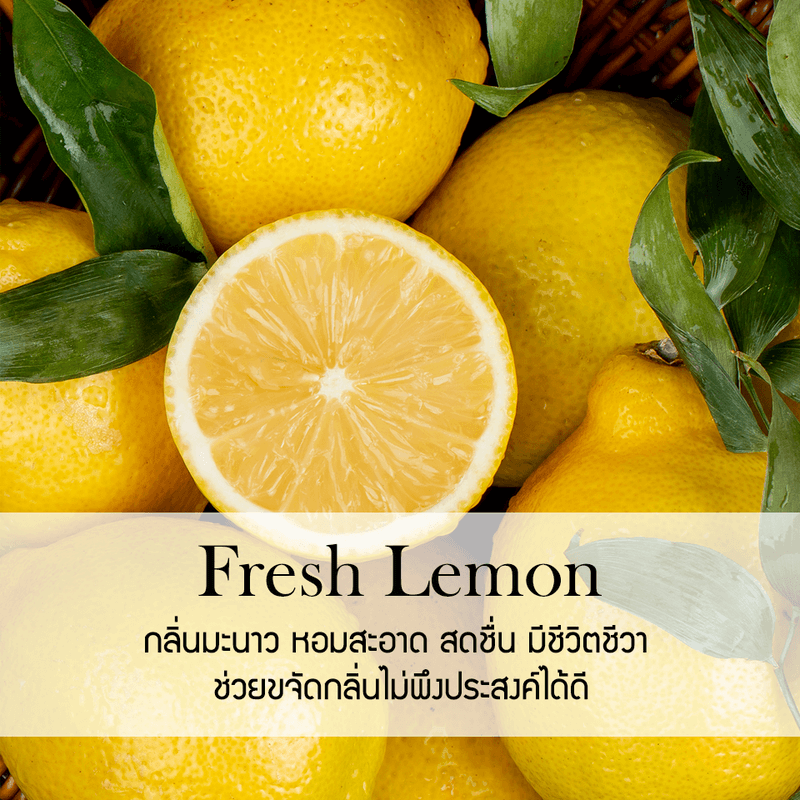 ก้านไม้หอมปรับอากาศ PHRUKSA SPA รีฟิล ขนาด 100 มล.  กลิ่น FRESH LEMON_1