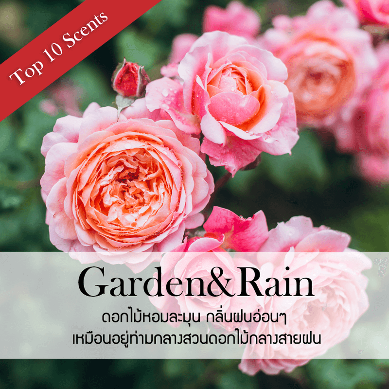ก้านไม้หอมปรับอากาศ PHRUKSA SPA รีฟิล ขนาด 100 มล.  กลิ่น GARDEN&RAIN_1