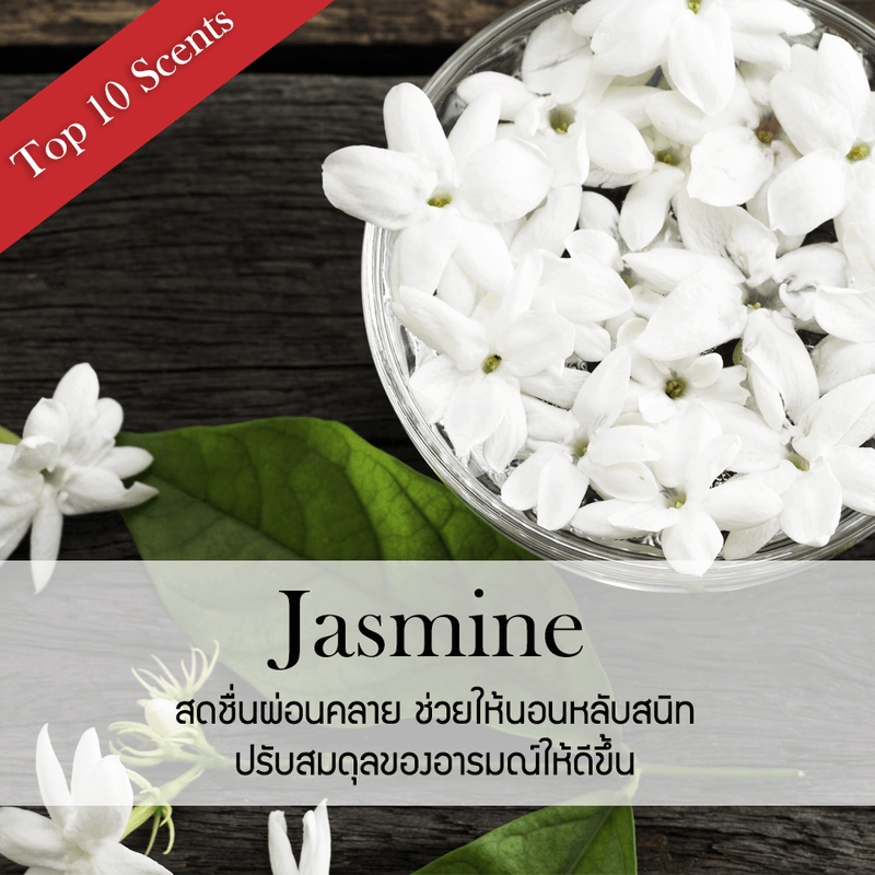 ก้านไม้หอมปรับอากาศ PHRUKSA SPA รีฟิล ขนาด 500 มล.  กลิ่น ROYAL JASMINE_1