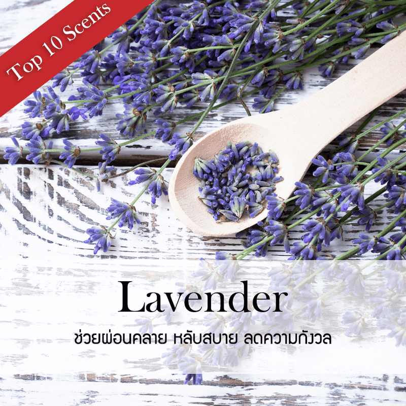 ก้านไม้หอมปรับอากาศ PHRUKSA SPA รีฟิล ขนาด 1000 มล. กลิ่น LAVENDER LILAC_1