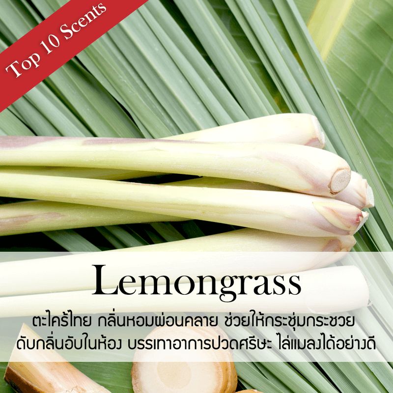 ก้านไม้หอมปรับอากาศ PHRUKSA SPA รีฟิล ขนาด 100 มล.  กลิ่น LEMONGRASS_1