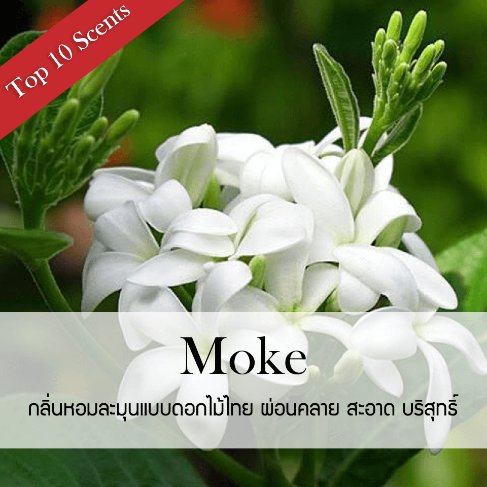 ก้านไม้หอมปรับอากาศ PHRUKSA SPA รีฟิล ขนาด 50 มล.  กลิ่น MOKE