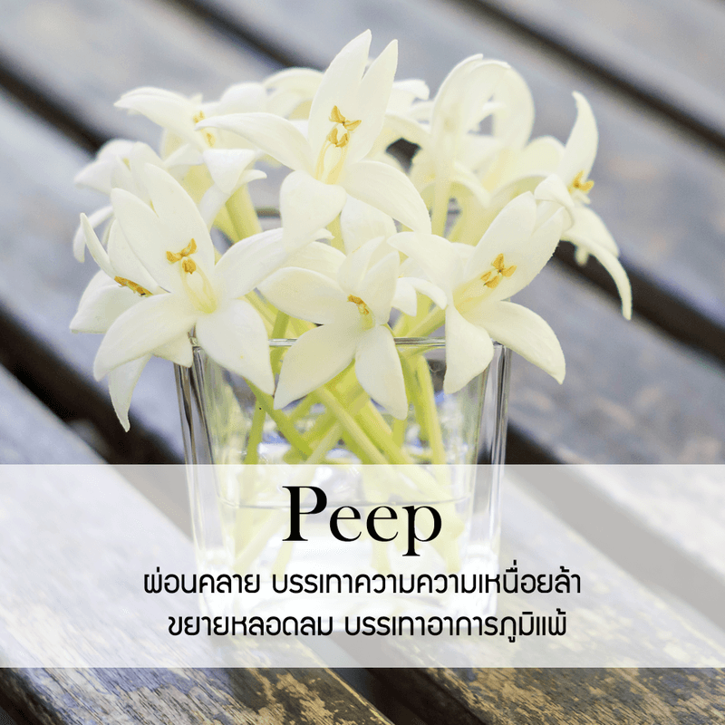 ก้านไม้หอมปรับอากาศ PHRUKSA SPA รีฟิล ขนาด 100 มล.  กลิ่น DOK PEEP_1