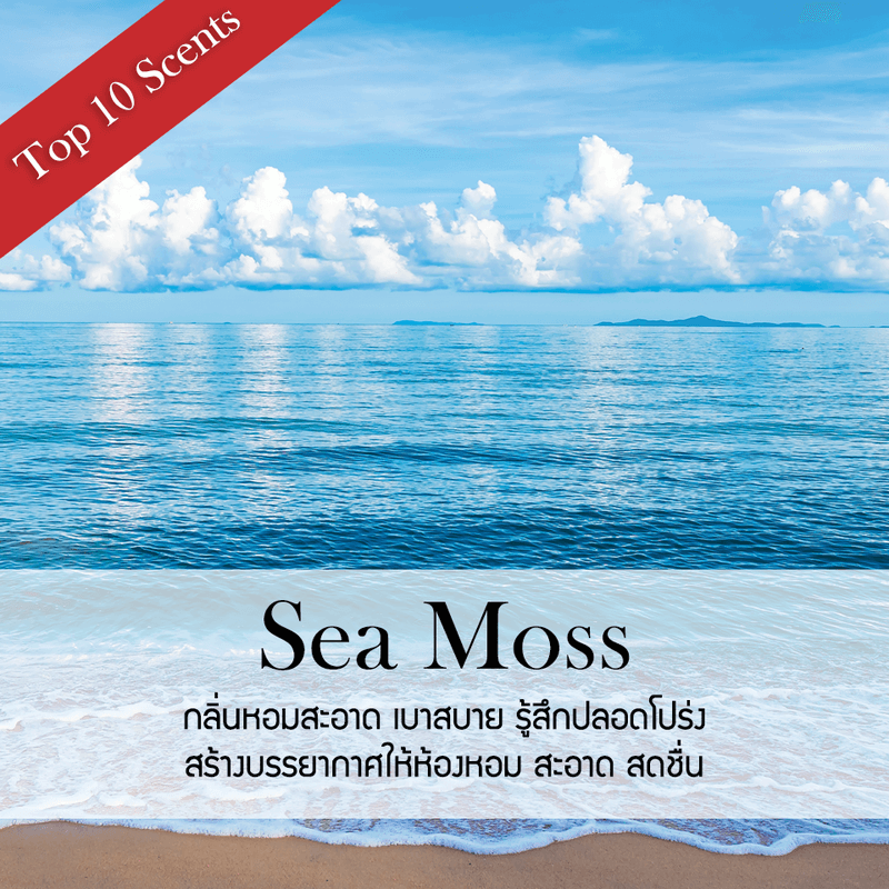 ก้านไม้หอมปรับอากาศ PHRUKSA SPA รีฟิล ขนาด 1000 มล. กลิ่น SEAMOSS_1