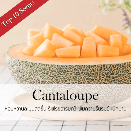 ก้านไม้หอมปรับอากาศ PHRUKSA SPA รีฟิล ขนาด 30 มล.  กลิ่น CANTALOUPE_1