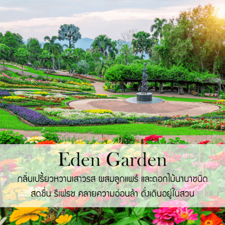 ก้านไม้หอมปรับอากาศ PHRUKSA SPA รีฟิล ขนาด 50 มล.  กลิ่น EDEN GARDEN_1