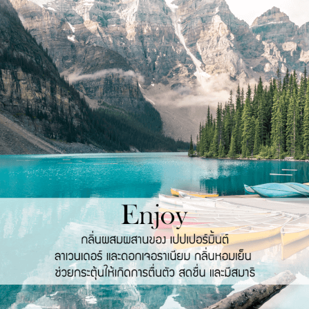 ก้านไม้หอมปรับอากาศ PHRUKSA SPA รีฟิล ขนาด 30 มล.  กลิ่น ENJOY_1