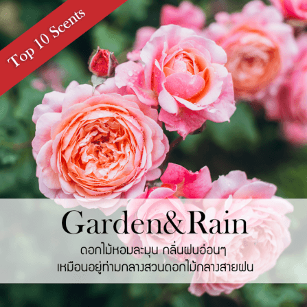 ก้านไม้หอมปรับอากาศ PHRUKSA SPA รีฟิล ขนาด 50 มล.  กลิ่น GARDEN&RAIN_1