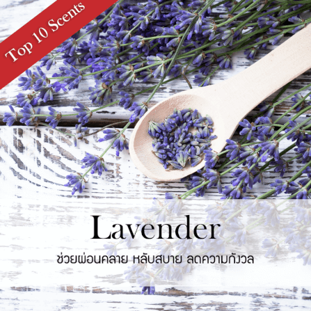 ก้านไม้หอมปรับอากาศ PHRUKSA SPA รีฟิล ขนาด 30 มล.  กลิ่น LAVENDER LILAC_1