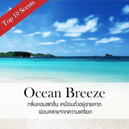 ก้านไม้หอมปรับอากาศ PHRUKSA SPA รีฟิล ขนาด 30 มล.  กลิ่น OCEAN BREEZE_1