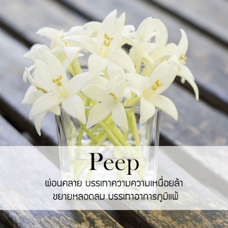 ก้านไม้หอมปรับอากาศ PHRUKSA SPA รีฟิล ขนาด 30 มล.  กลิ่น DOK PEEP_1
