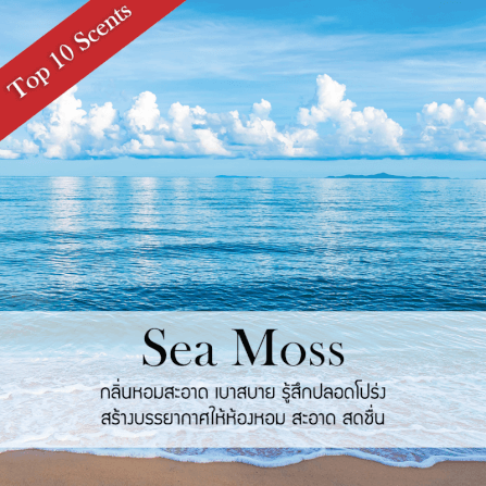 ก้านไม้หอมปรับอากาศ PHRUKSA SPA รีฟิล ขนาด 30 มล.  กลิ่น SEAMOSS_1