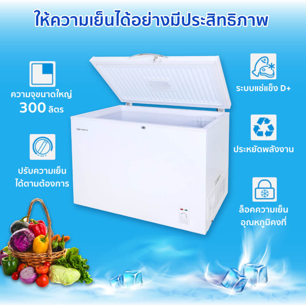 ตู้แช่ OXYGEN รุ่น BD-300 ความจุ 300 ลิตร สีขาว_2
