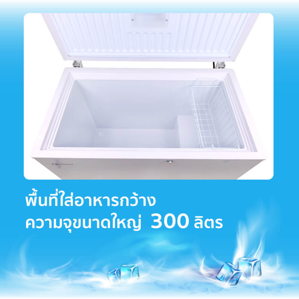 ตู้แช่ OXYGEN รุ่น BD-300 ความจุ 300 ลิตร สีขาว_3