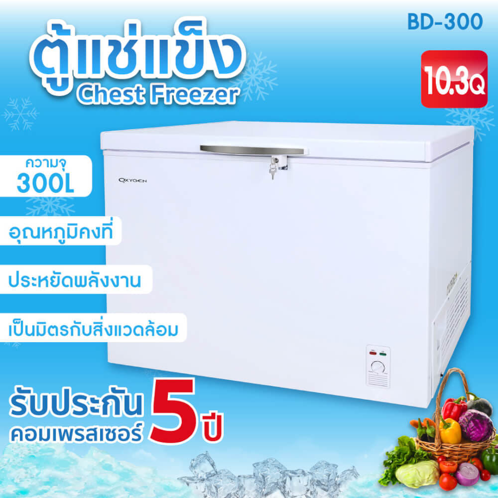 ตู้แช่ OXYGEN รุ่น BD-300 ความจุ 300 ลิตร สีขาว_9