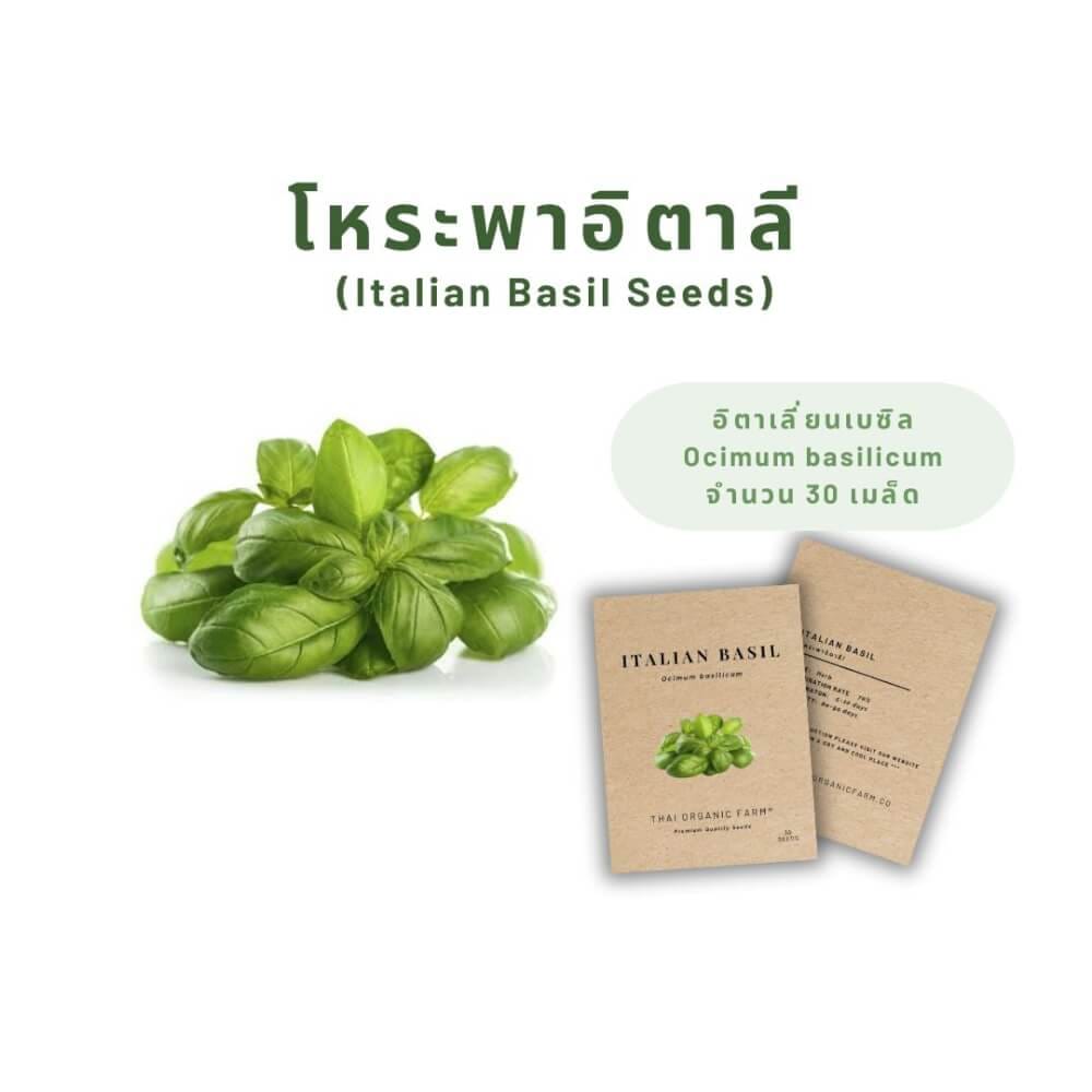 เมล็ดพันธุ์โหระพาอิตาเลียน LETPOT ไทย ออแกนิค ฟาร์ม