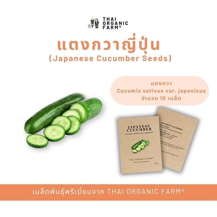เมล็ดพันธุ์แตงกวาญี่ปุ่น LETPOT ไทย ออแกนิค ฟาร์ม_3