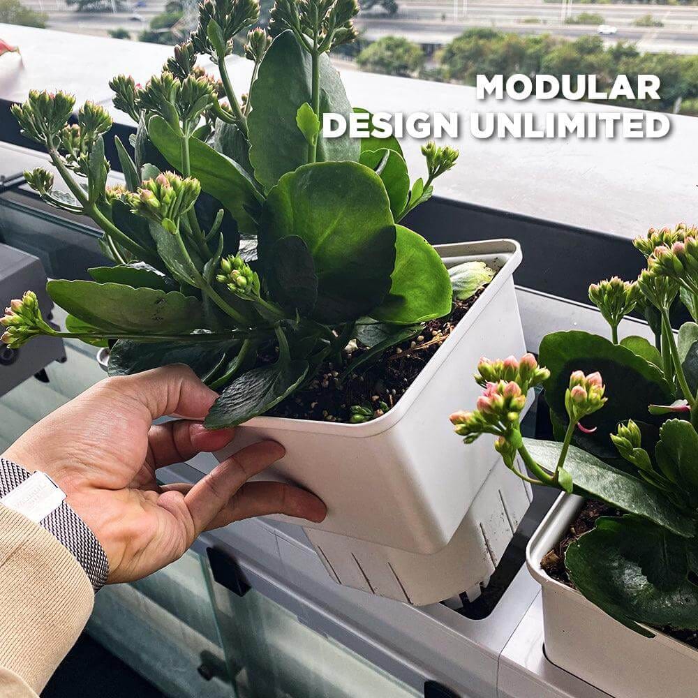 กระถางรดน้ำอัติโนมัติ LetPot Smart Planter_6