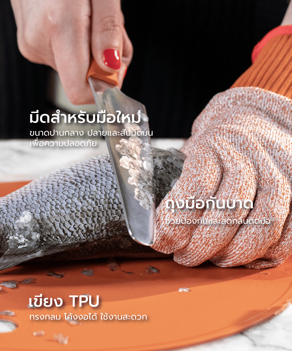 ชุดมีด เขียง และถุงมือ 3 ชิ้น ZWILLING ปลอดภัย สีส้ม N54350403_4